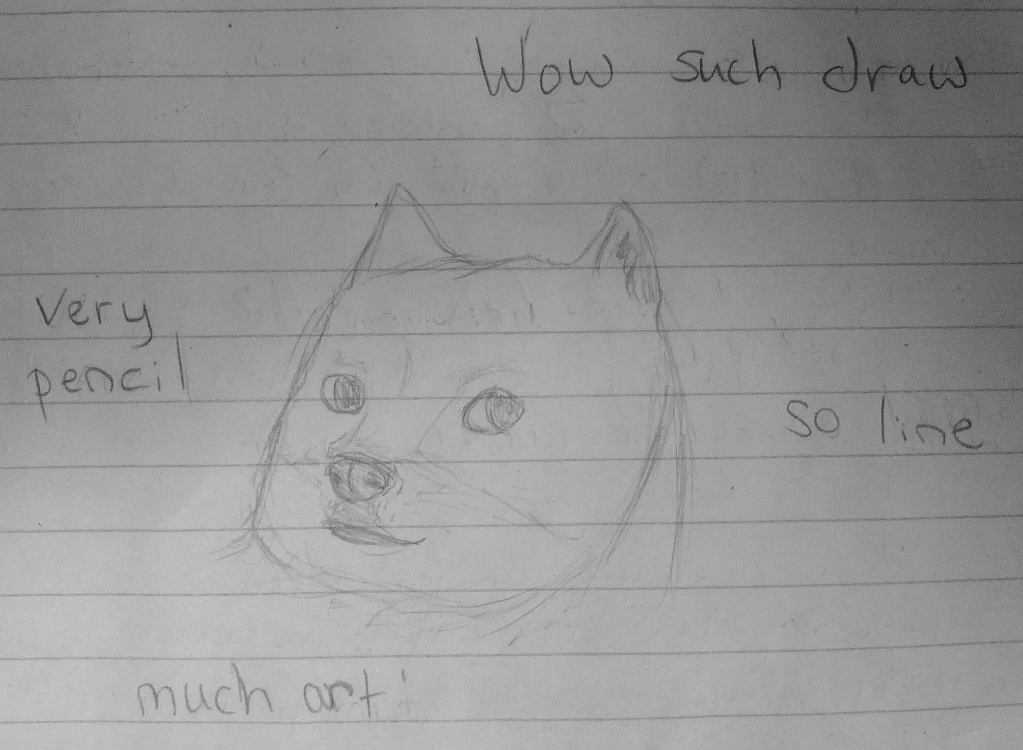 Wow so doge