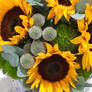 Blossms Florist Sunflowers