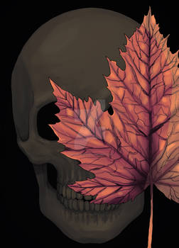 Cold Autumn Dreams