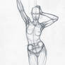 preliminary study