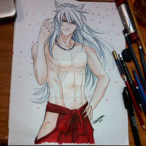 Inuyasha finished!