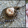 beach shell necklace