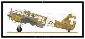 Caproni Ca.311