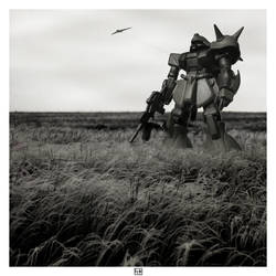 Long-range reconnaissance