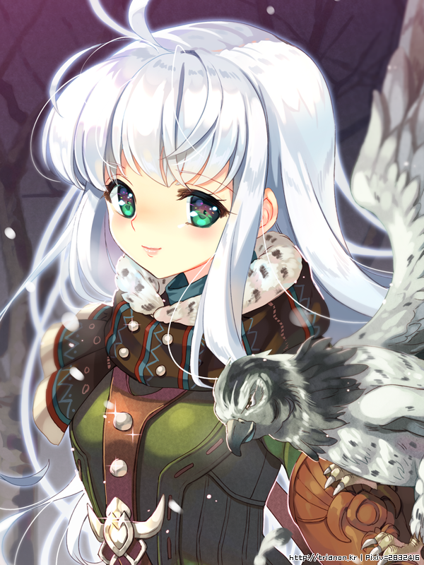 Tree Of Savior-Falconer (crop)