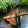 Butchart Gardens 2, Canada