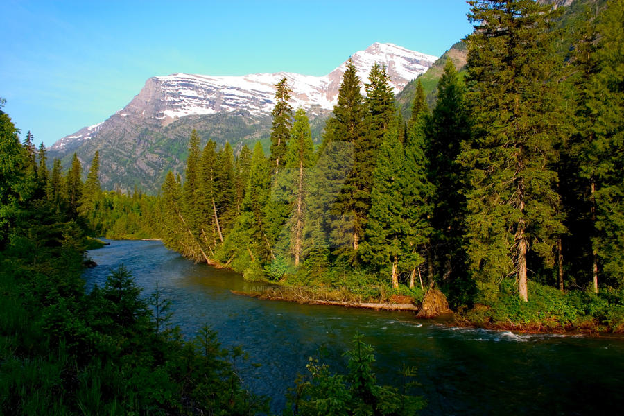 Glacier N.P., Montana 2