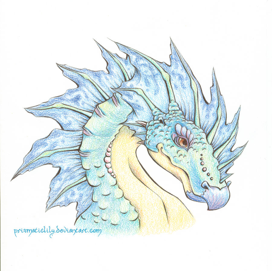 Makora The Water Dragon