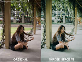 Presets for Sale: Shaded Space (sample ii)