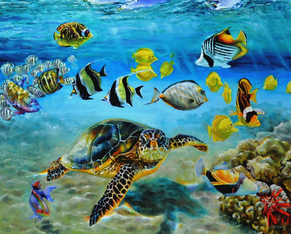 Hawaiian reef fish and sea turtle by veracauwenberghs
