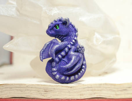 Purple dragon baby