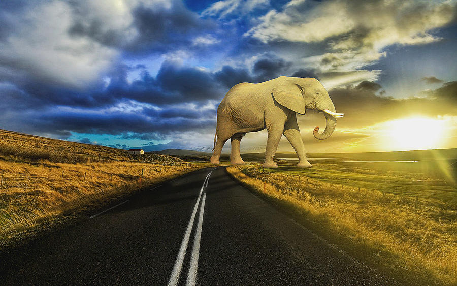 Oliphaunt by drunknmunky32 on DeviantArt