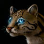 Ocelot