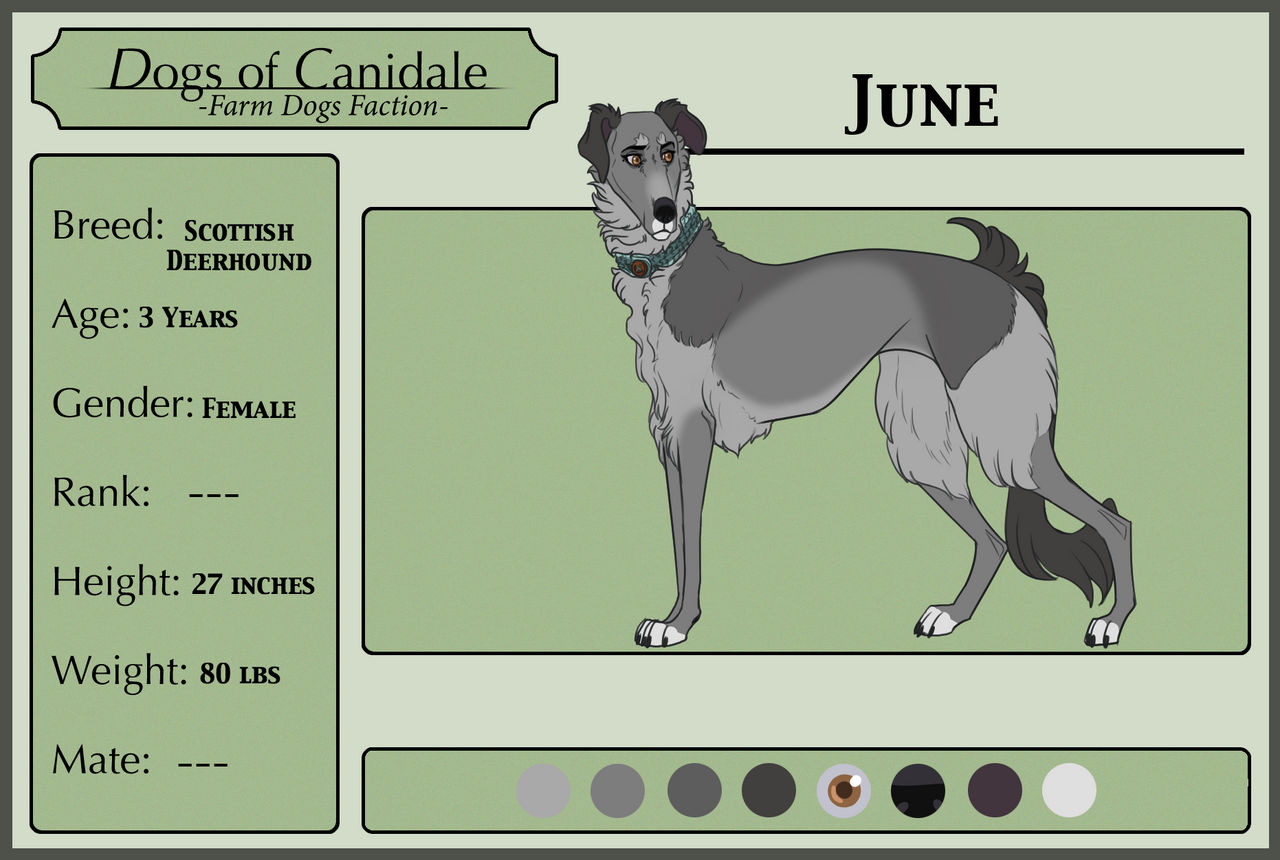 8 Oc S Fun Facts By Chipo H0p3 On Deviantart 8 Oc S Fun Facts By Chipo H0p3 On Deviantart