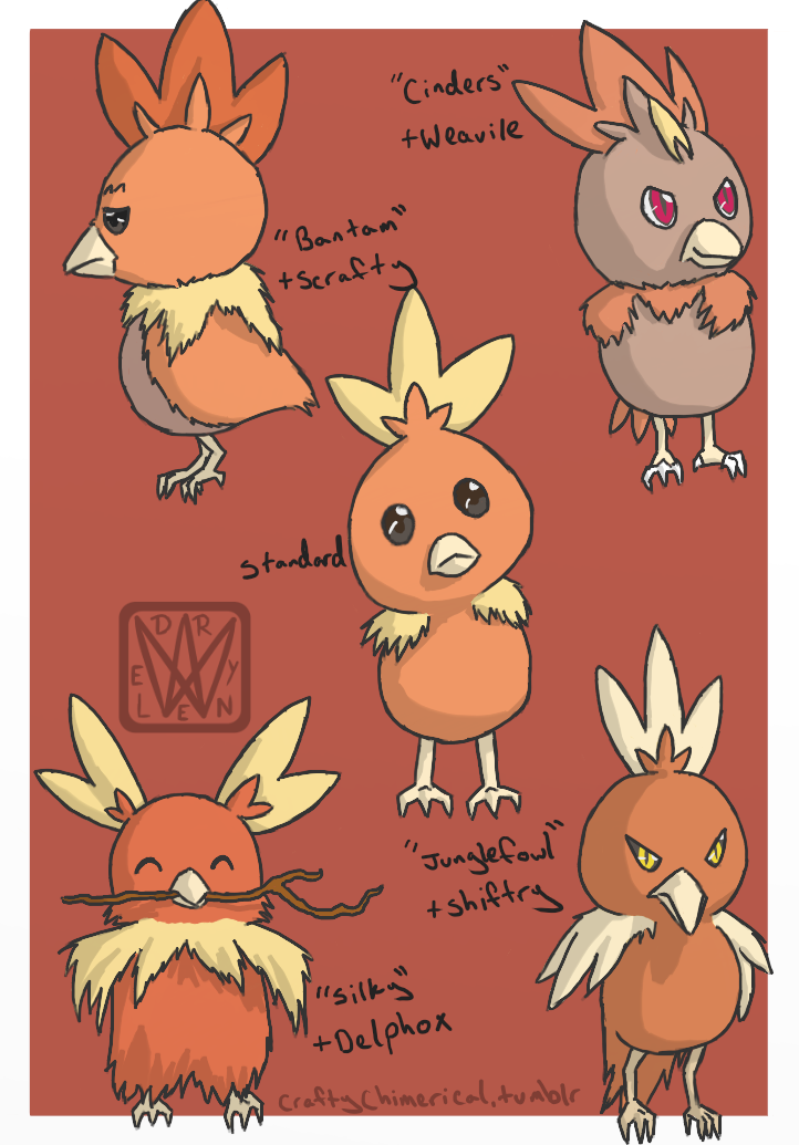 Torchic Evolution Drawing.pdf Torchic Variations by Dreylen on DeviantArt