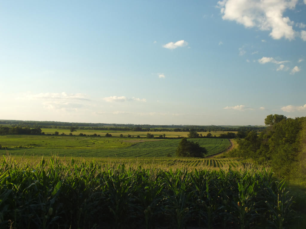 Random Country Scenes country scene by trentenmarschel on DeviantArt