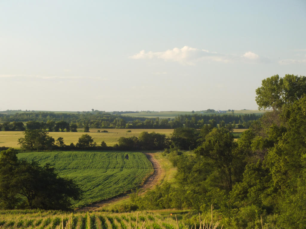Random Country Scenes country scene by trentenmarschel on DeviantArt