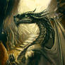 bookcover dragon