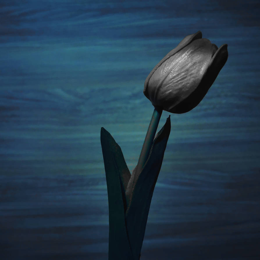 Blue wallpaper Tulip by Silver-Spirit-Comic on DeviantArt