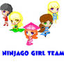 Ninjago girl team