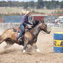 Buckskin Barrels