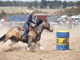 Buckskin Barrels