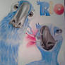 Rio-Blue and Jewel