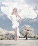 Winter angel by LasmejaLora