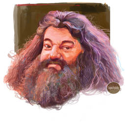 Hagrid fan art