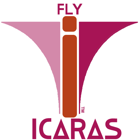 WipEout Logo Idea: Icaras