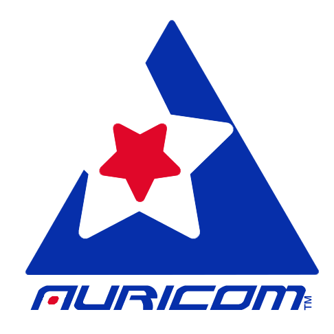 WipEout Logo Idea: Auricom