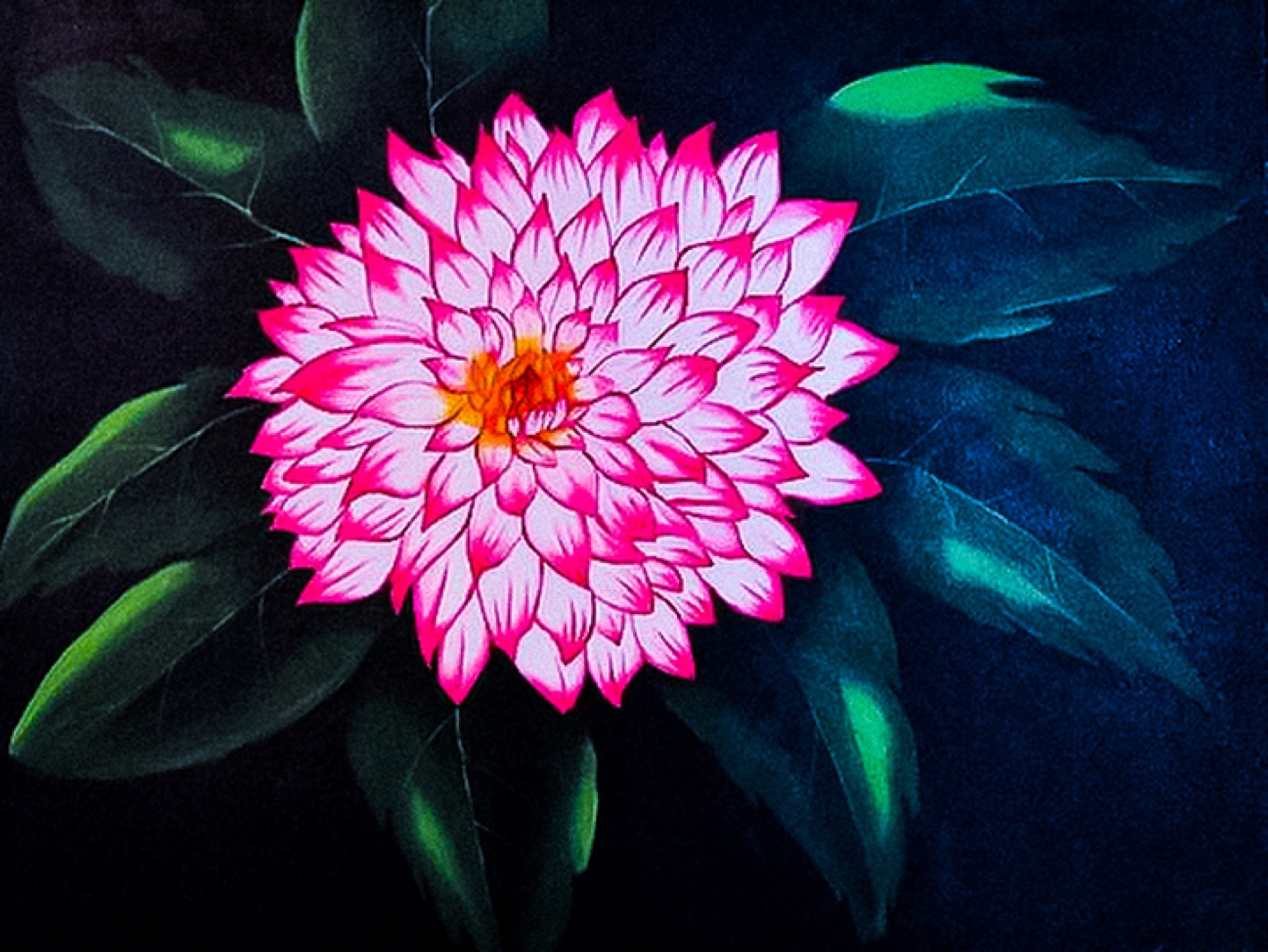 Dahlia