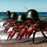 The marching lobsters (6)