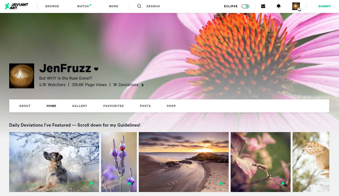 Landing page profile by JenFruzz Landing page profile by JenFruzz