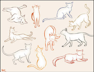 Cat Sketches