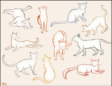 Cat Sketches