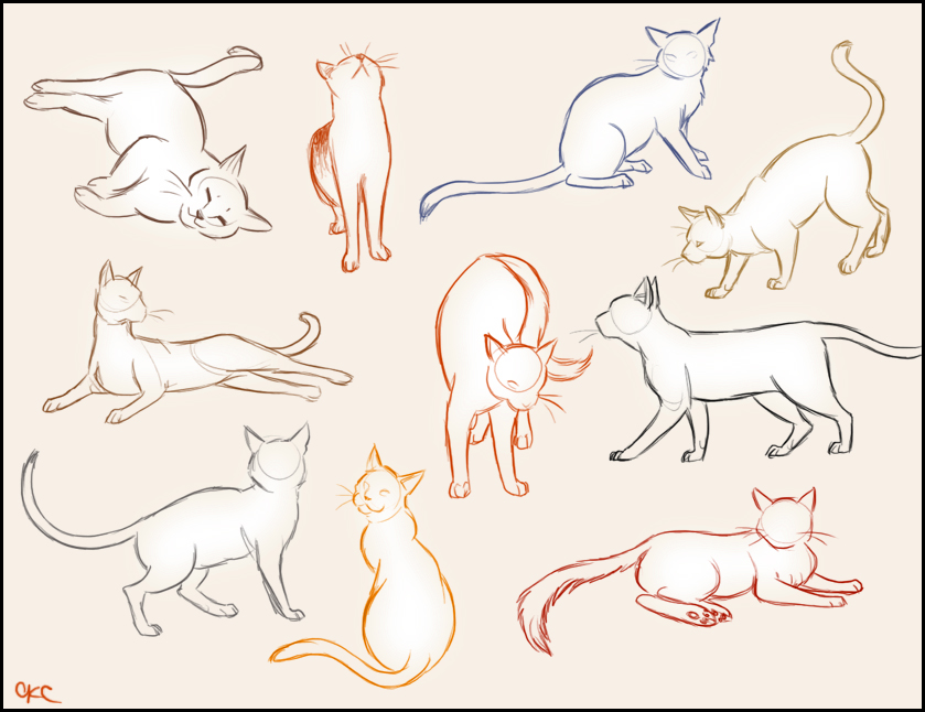 Cat Sketches