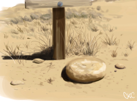 Southwest Desert Paintsketch