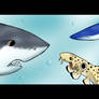 Shark Concept piccy