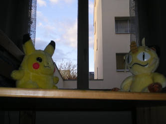 pickachu vs miaous