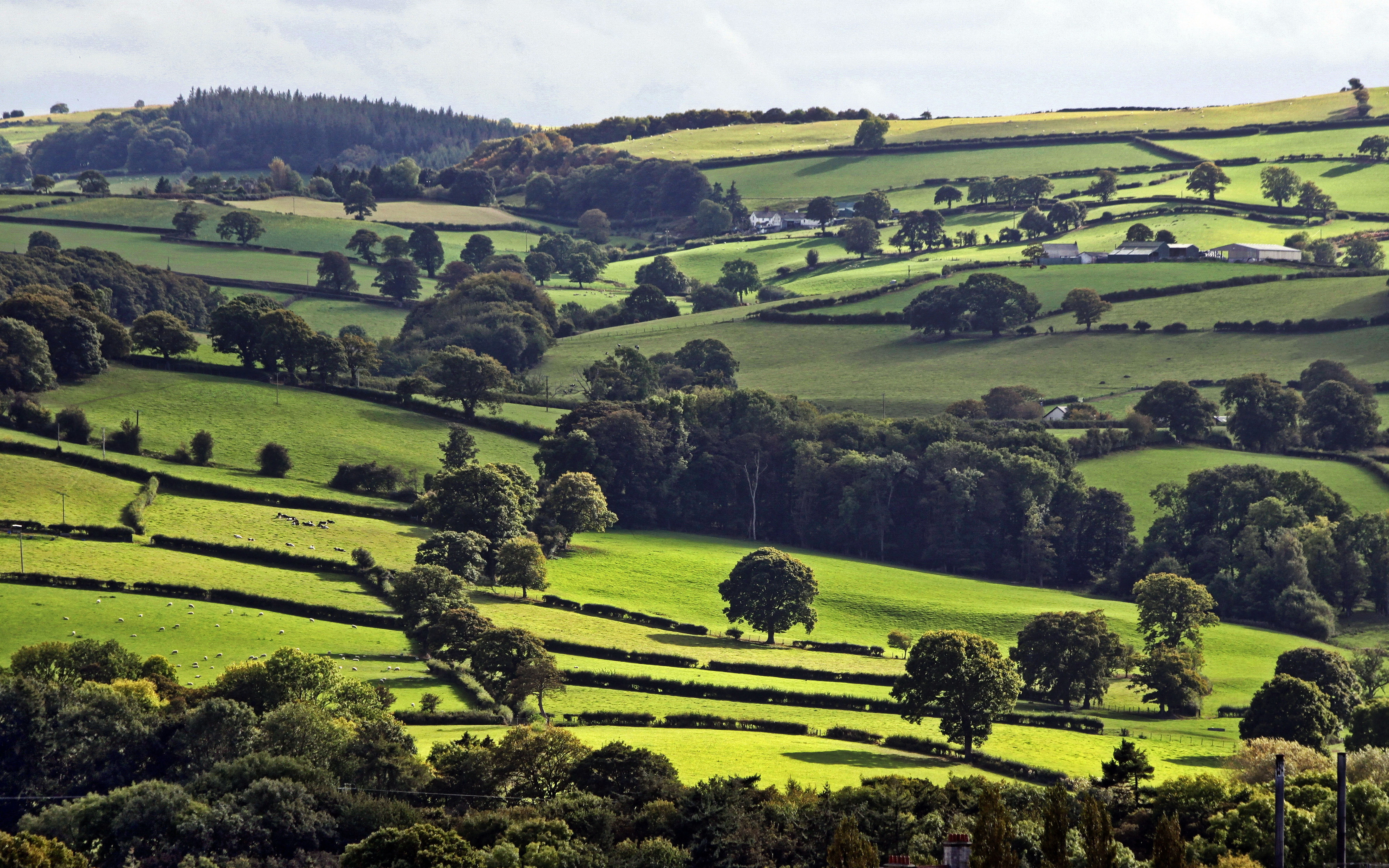 View from Ruthin Castle Wales ( new cut )