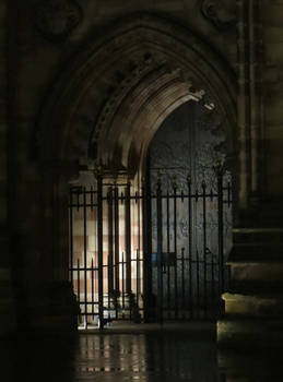 Gate ( nightshot )