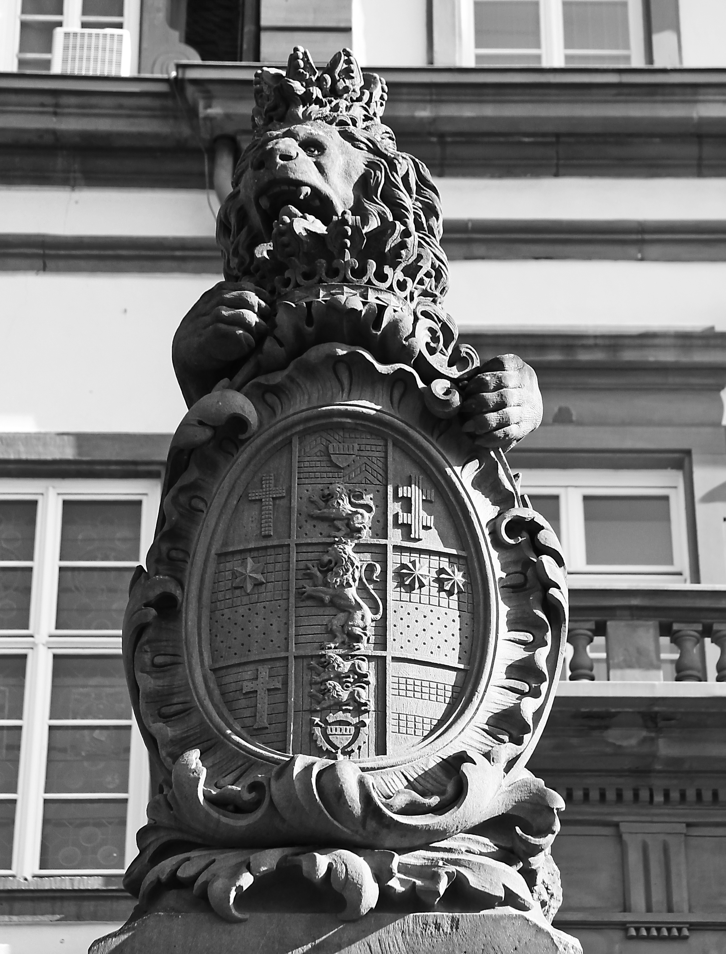 Heraldic shield hold by the lion