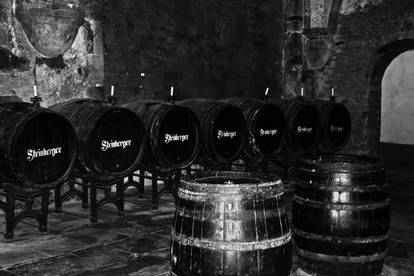 Wine cellar - monochrome ( 2 )