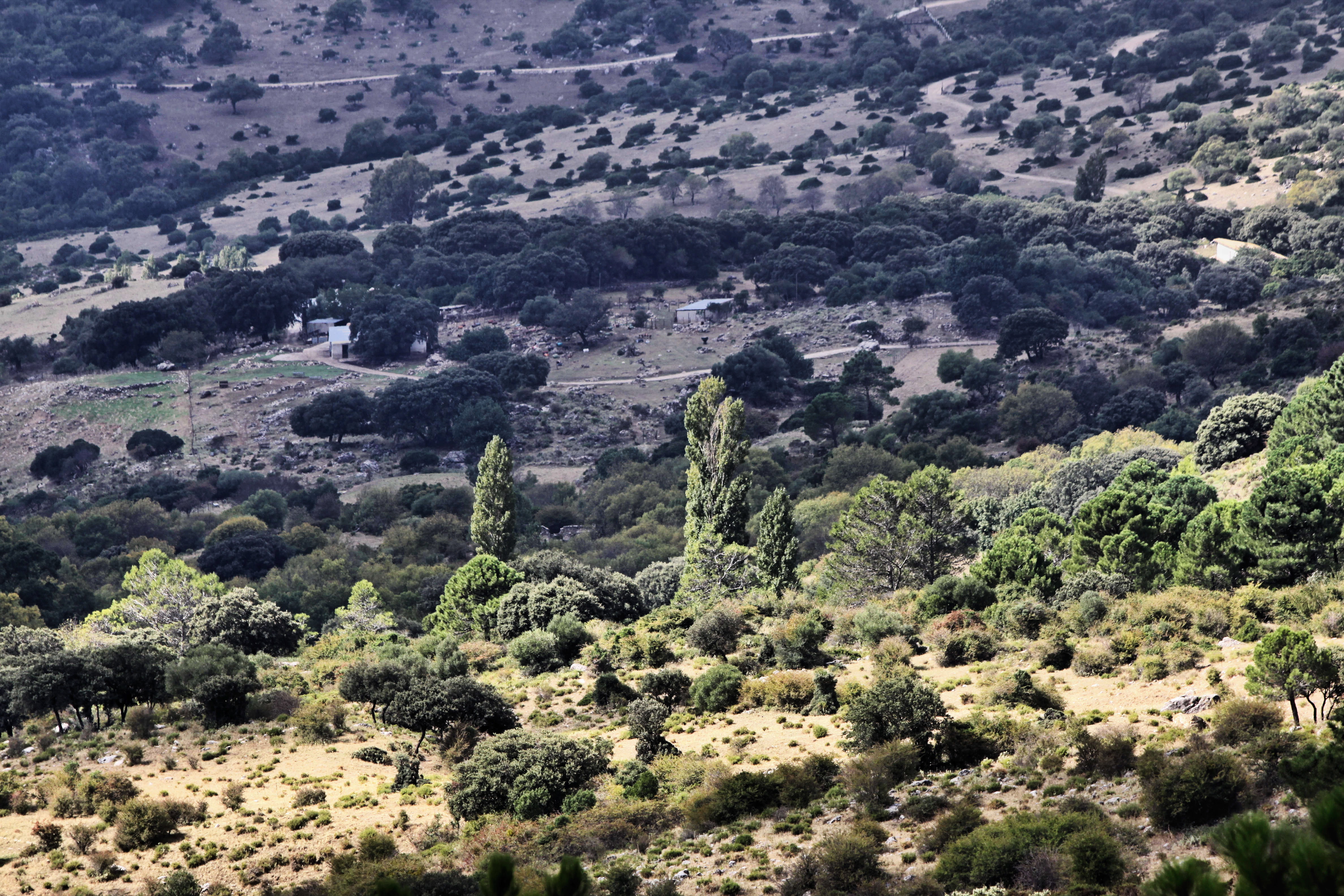 Sierra De Cadiz