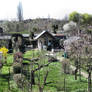 Allotment garden