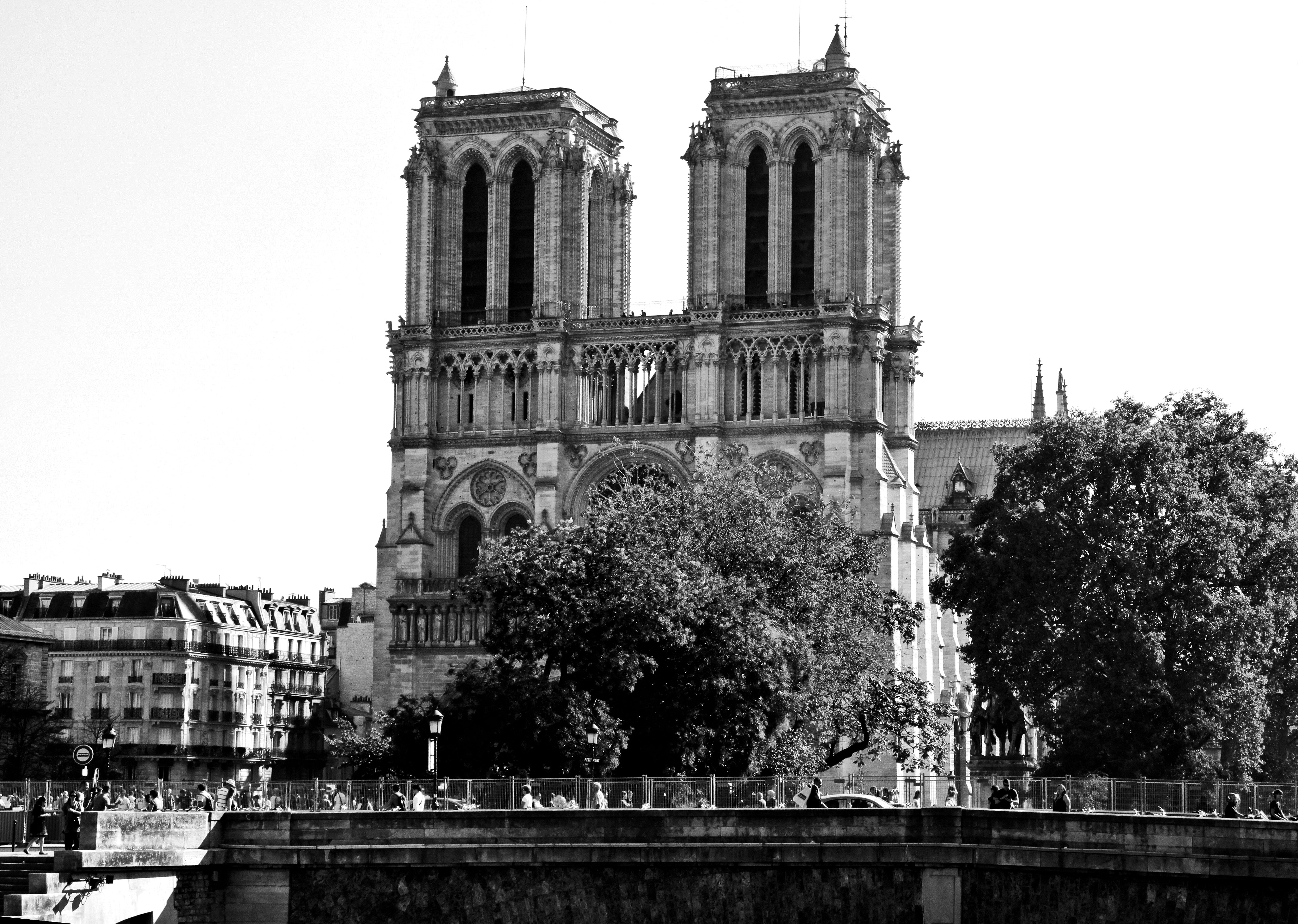 Notre Dame - Paris