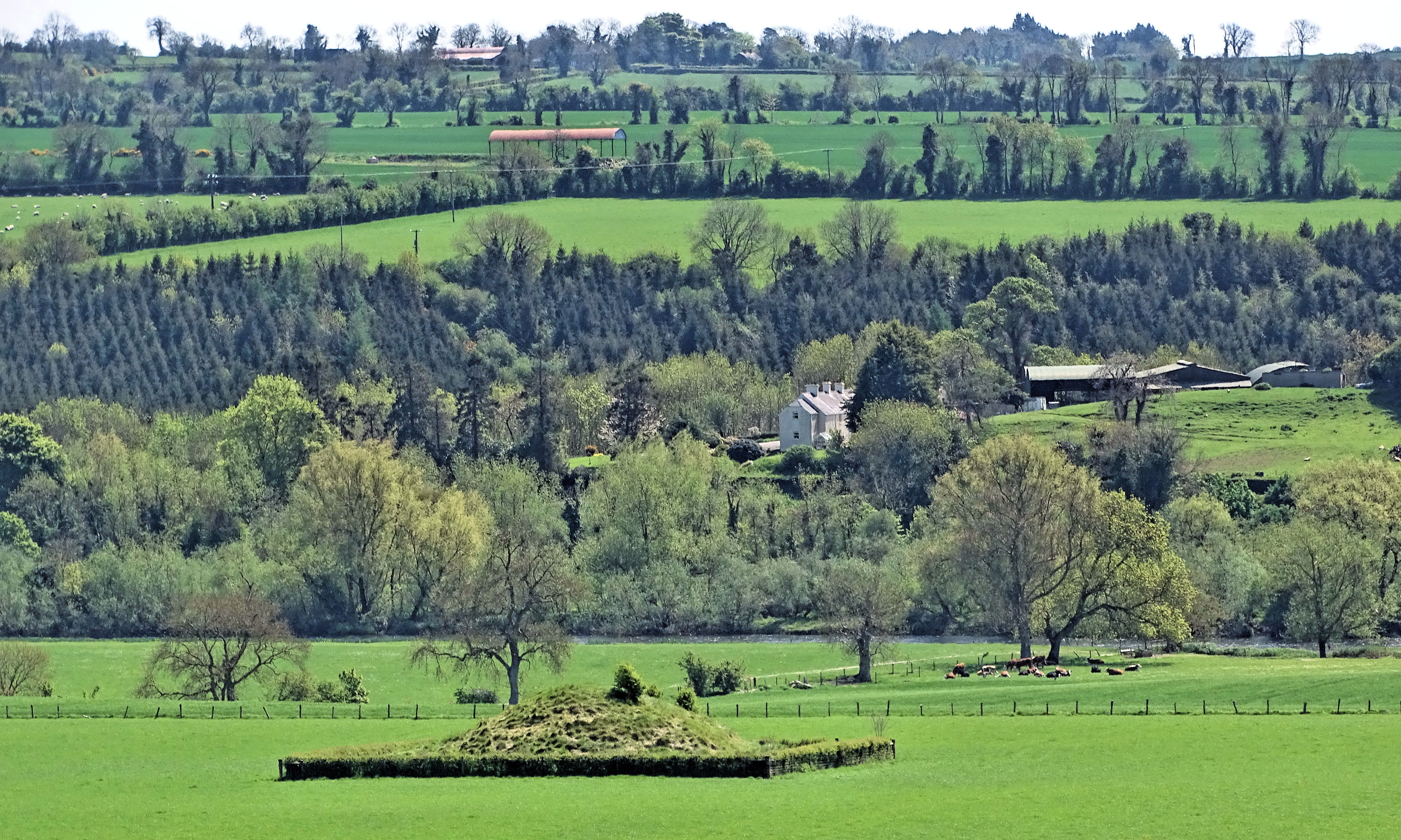 Rural Irish landscape