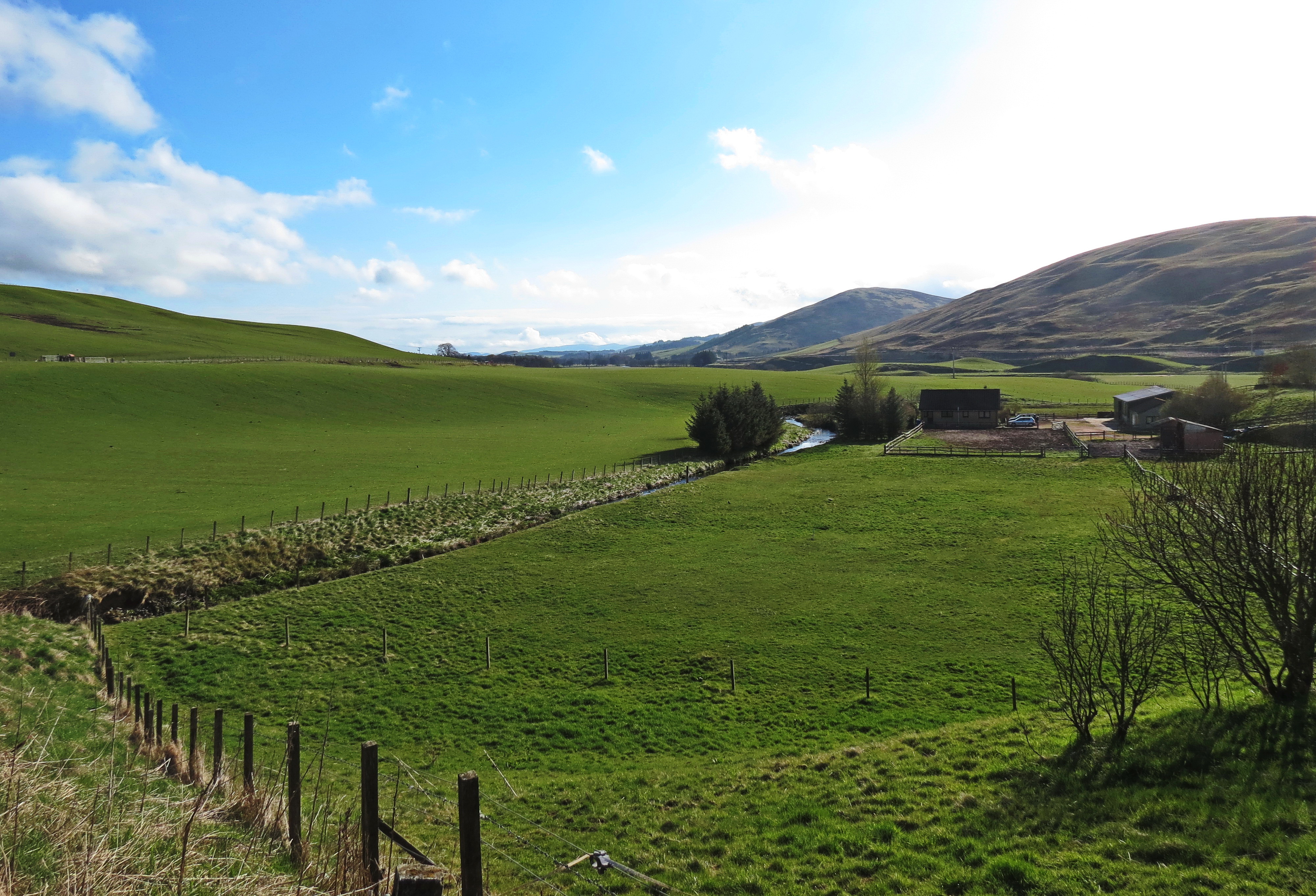 Scottish Lowland