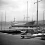 Harbor of Triest - Italy ( 1972 )